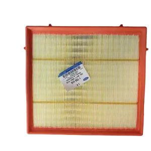 Szybka dostawa Filtr powietrza FORD