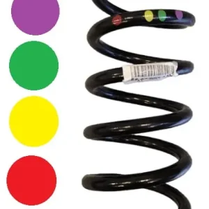 Sprężyna zawieszenia tył RENAULT ESPACE V 5 SCENIC IV 4 tylna OE Popularny