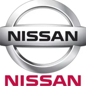 Tylko dziś Uszczelka pompy wody nissan - wyprzedaż