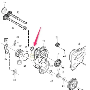 Niska cena Uszczelniacz wałka rozrządu Volvo