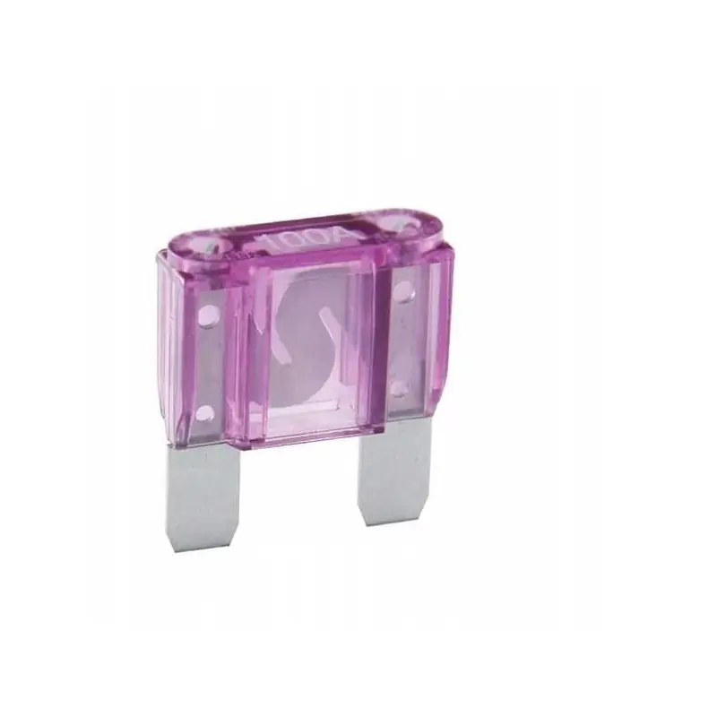 Ekspresowa dostawa Bezpiecznik samochodowy MAXI 100A