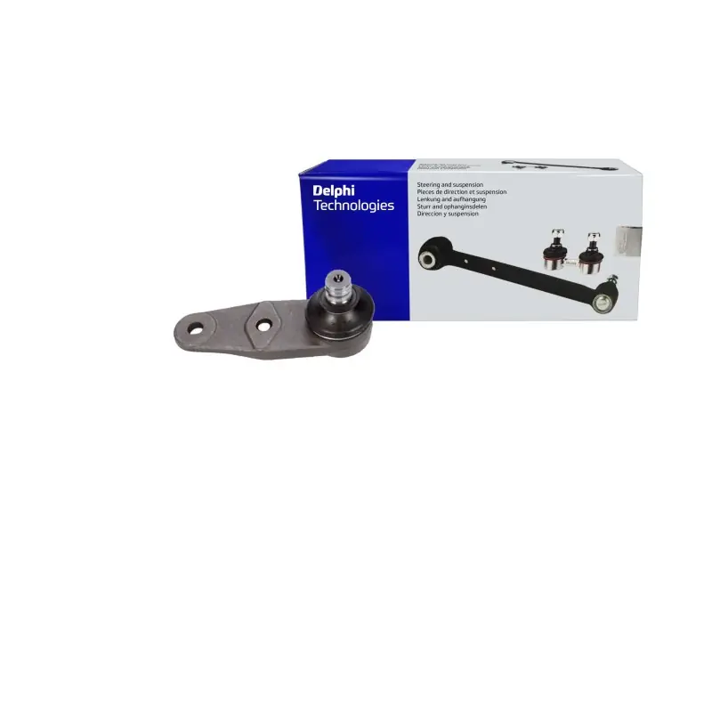 Sworzeń wahacza L / P Delphi RENAULT MEGANE I 1 Sprawdź teraz