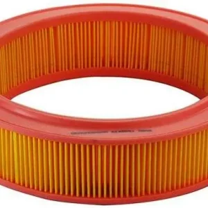 Zamów dziś FILTR POWIETRZA RENAULT CLIO 1.1 91-98, R5GTL, GTS, TR -90,