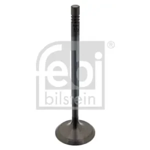 Bestseller ZAWÓR SSĄCY