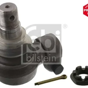 Zamów teraz SWORZEŃ WAHACZA